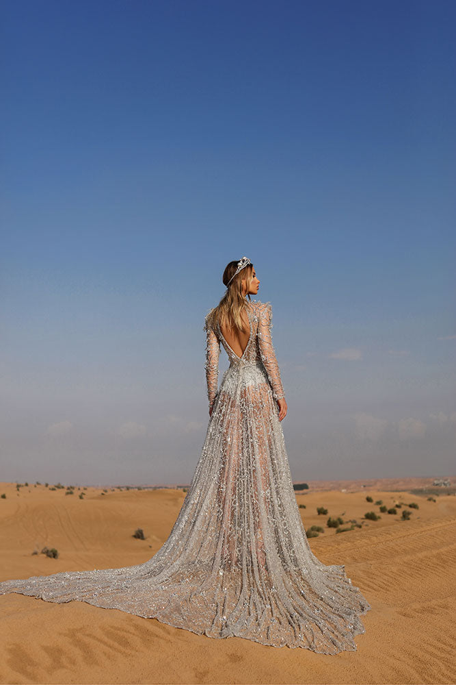 albina dyla silver dress Long Glamorous Silver Dress