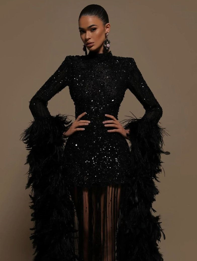BLAISE FEATHER SLEEVE GOWN